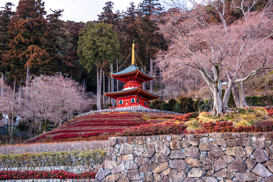 Red pagoda at Ryuanji Temple in winter surrounded by bare trees and rocky landscape in Minoh, Osaka Prefecture, Japan