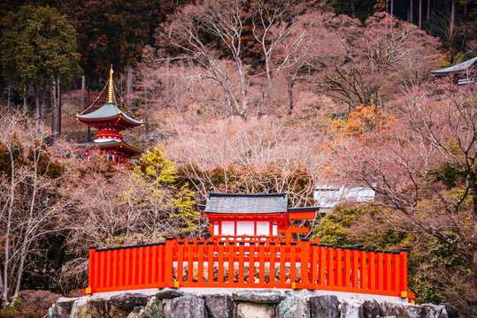 Red railing of shrine platform with Katsuo-ji pagoda in background surrounded by trees during seasonal change in Minoh, Japan