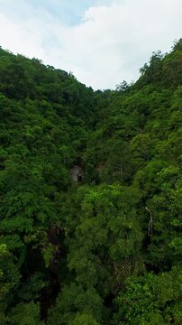 Vertical video. Aerial Drone Ascent Above Dense Tropical Rainforest Revealing a Hidden Rocky Gorge Among Lush Green Hills, Scenic Wilderness, Adventure Travel, Untouched Nature