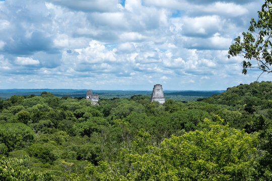 Wide-angle view from Temple IV at Tikal with temple summits in the distance and lush green landscape in Guatemala