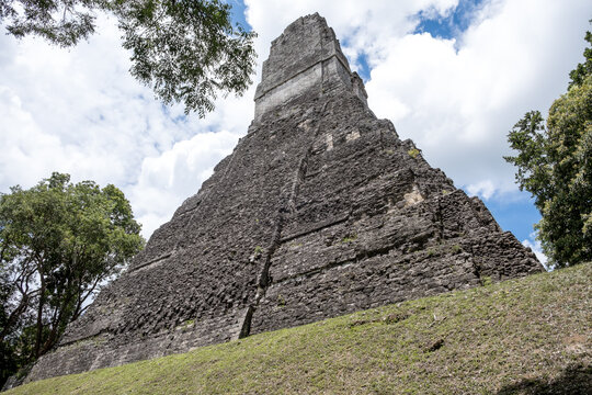 View of Temple I, the Great Jaguar rising above the trees, built for ruler Jasaw Chan Kawiil I in ancient Tikal Guatemala