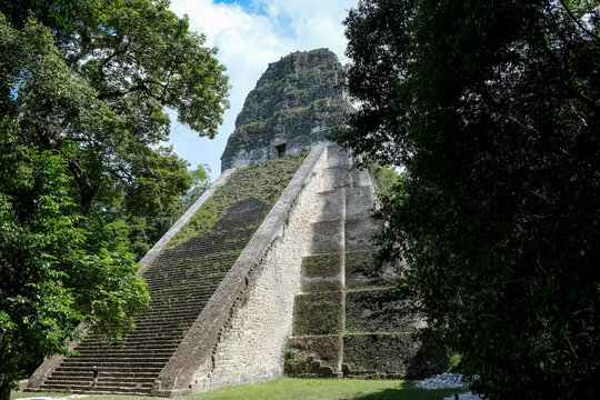 Temple V pyramid stands tall in Tikal with steep stairway leading to the summit shrine built around 700 AD