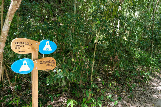 Directional signboard in the forest pointing to Temple V and Great Plaza in Tikal
