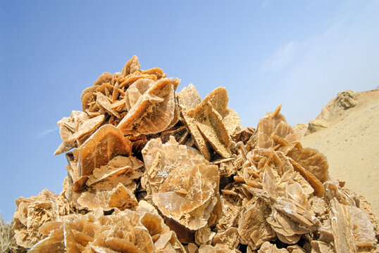 Desert roses form in clusters under clear skies in Tunisia's unique landscape