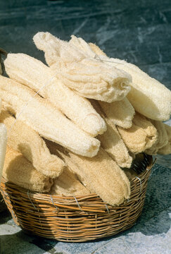 Natural sponges displayed for sale in a woven basket in Greece during the marketplace hours