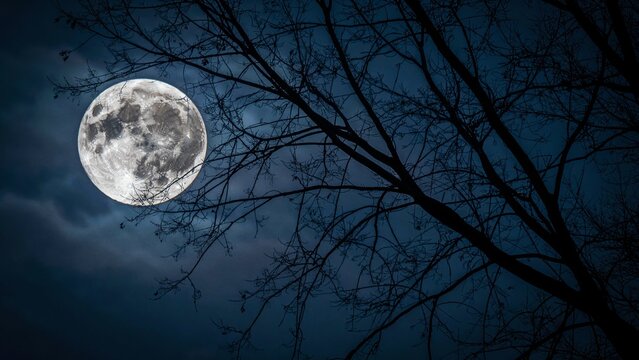 Full moon shining in the night sky behind dark tree branches in a mysterious forest scene.