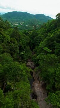 Vertical video. High Speed FPV Drone Dive Over Lush Tropical Forest Into a Mountain Valley, Immersive Aerial Flight, Dramatic Landscape, Adventure, Untouched Nature