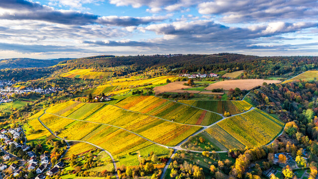 Aerial view of valley Remstal, morning fog at sunrisse, colorful vineyard, autumn colours, Baden Wuerttemberg, Germany