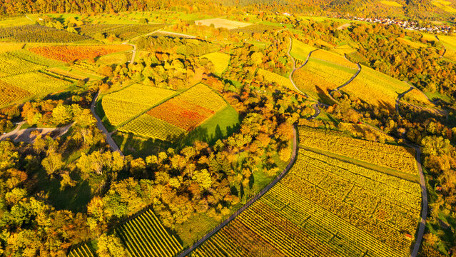 Aerial view of valley Remstal, morning fog at sunrisse, colorful vineyard, autumn colours, Baden Wuerttemberg, Germany