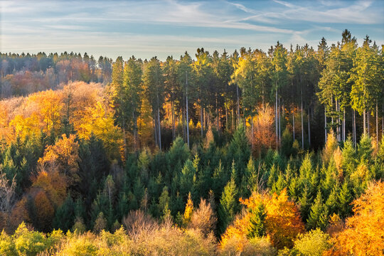 Aerial view of valley Remstal, morning fog at sunrisse, colorful vineyard, autumn colours, Baden Wuerttemberg, Germany