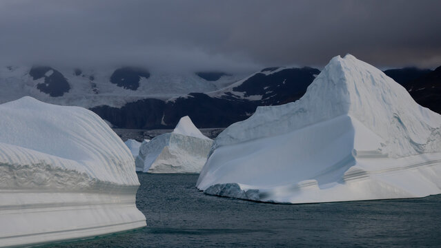 Icebergs drifting in King Edward Cove, Cumberland East Bay, South Georgia