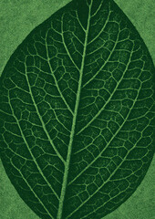 Fototapeta premium Intricate green leaf texture illustration.