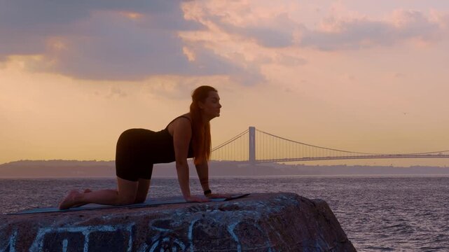 Woman practicing cow yoga pose on table top position at sunset in New York. Profile shot on all fours on concrete ledge with Verrazzano Narrows Bridge behind water.