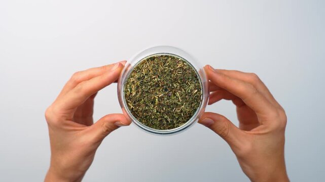 Hands holding glass jar with dried melissa leaves. Top view, female fingers holding round transparent container filled with green crushed herbs on white background.