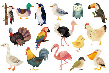 Naklejka premium Watercolor birds collection. Farm, tropical, forest, ocean and wild bird illustrations. Colorful birds. Handpainted animals.