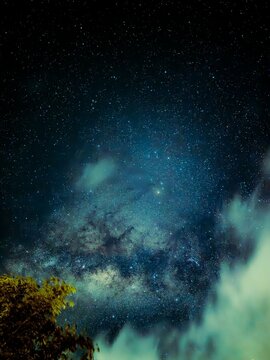 A breathtaking night sky filled with countless stars, a glowing nebula, and distant galaxies framed by silhouettes of tree branches