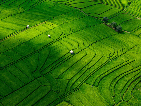 Aerial view of vibrant green rice terraces with small huts and geometric patterns in the agricultural landscape of Kuta Selatan, Bali, Indonesia.