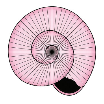 Ilustra&ccedil;&atilde;o vetorial de uma concha espiral rosa com linhas pretas detalhadas, apresentando um design geom&eacute;trico sim&eacute;trico e minimalista isolado em um fundo branco para uso em design gr&aacute;fico.