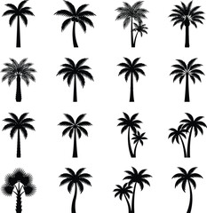 Naklejka premium Collection of palm tree silhouettes against a white background showcasing tropical vegetation arboriculture botanical