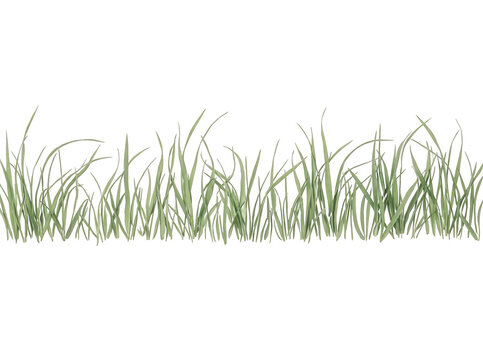 Ilustra&ccedil;&atilde;o vetorial de uma borda de grama verde isolada em fundo branco, perfeita para designs de primavera, projetos de paisagismo e elementos decorativos naturais.