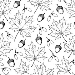 Hand drawn autumn maple leaves and acorns seamless pattern, black and white fall oak seed botanical line art background vector for seasonal thanksgiving print, forest wallpaper and fabric © EhteXham345