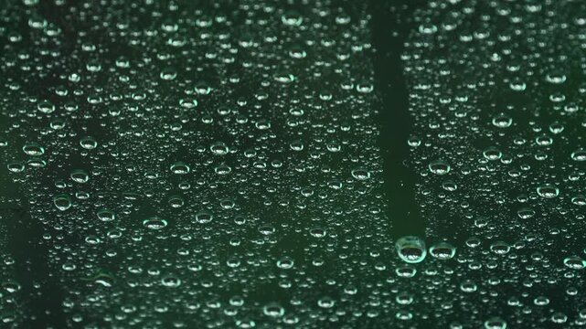 雨の日のフロントガラス