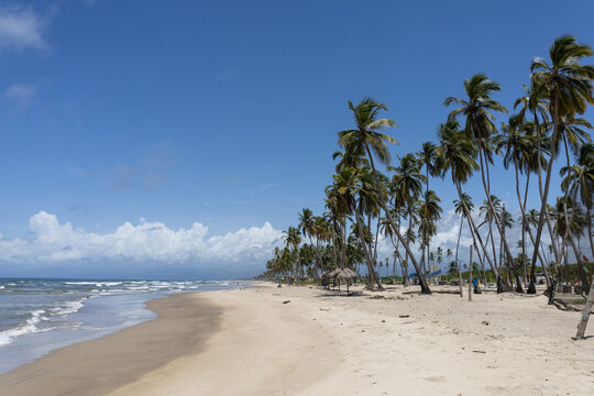 Road to Happiness: Tropical Coastal Highway in Tucacas Near Morrocoy, Venezuela