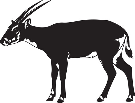 Detailed clean vector illustration of a rare Saola, side profile, long straight horns,