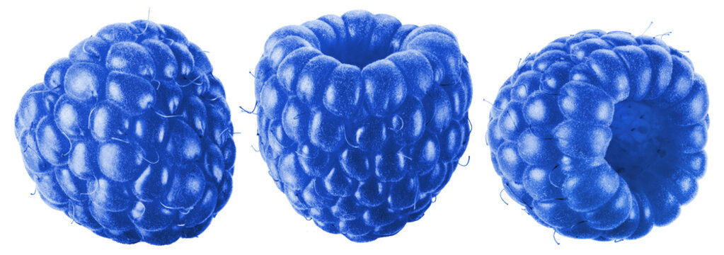 Three blue raspberries shown from different sides with one hollow center facing forward isolated on transparent background.