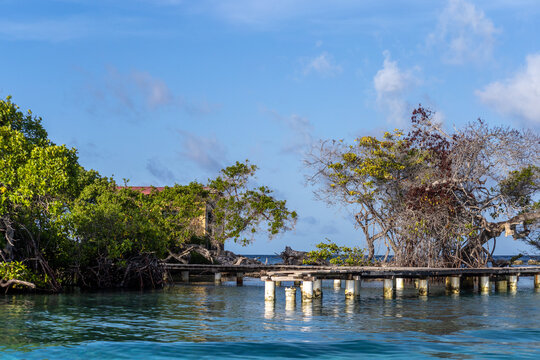Environmental Protection and Biodiversity Conservation in Cuare Wildlife Refuge, Morrocoy, Venezuela