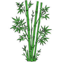 Obraz premium Green bamboo forest stems and leaves vector design.