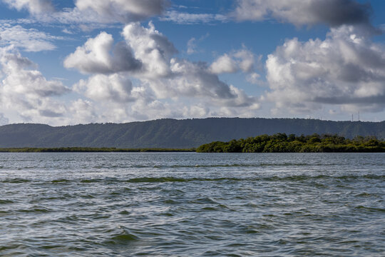 Environmental Protection and Biodiversity Conservation in Cuare Wildlife Refuge, Morrocoy, Venezuela