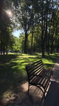Empty park bench beside a walkway, outdoor leisure and peaceful waiting concept.