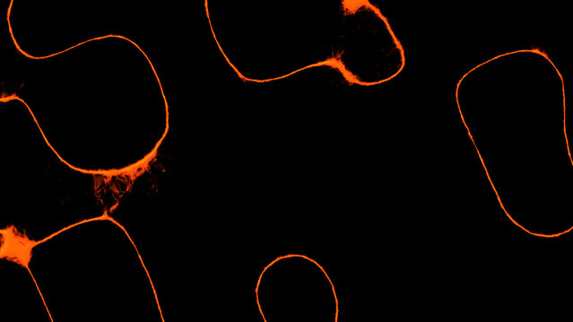Glowing orange neon line abstract background. Fiery curved energy wave loop dark wallpaper. Modern minimalist glowing outline frame concept.