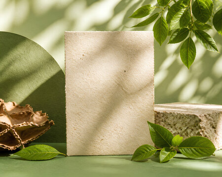 Fresh aloe vera plant in white ceramic vase with natural skincare ingredients on wooden table