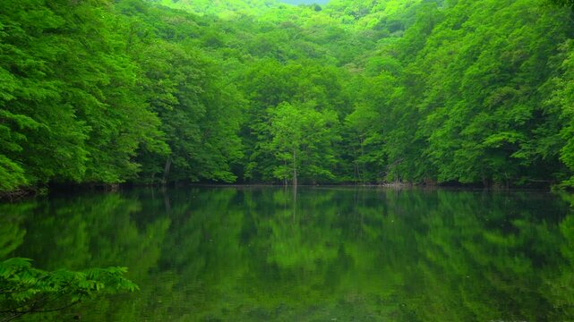 新緑の長沼　蔦七沼