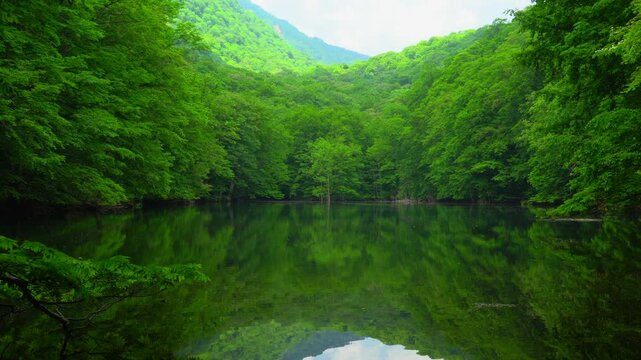 新緑の長沼　蔦七沼