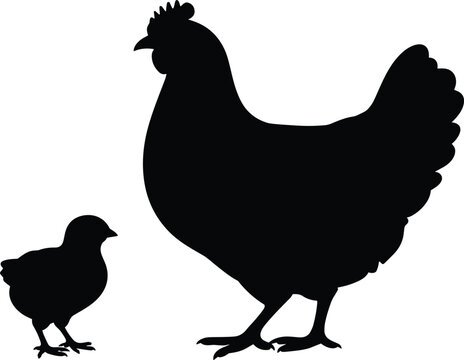 Black silhouette of a mother hen standing next to a small baby chick, isolated on a white background, farm animal for poultry farming and agriculture concepts