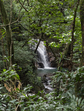 Recorrido entre monta&ntilde;as y rios en Panama