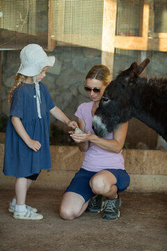 Kid interacts with animals on a farm