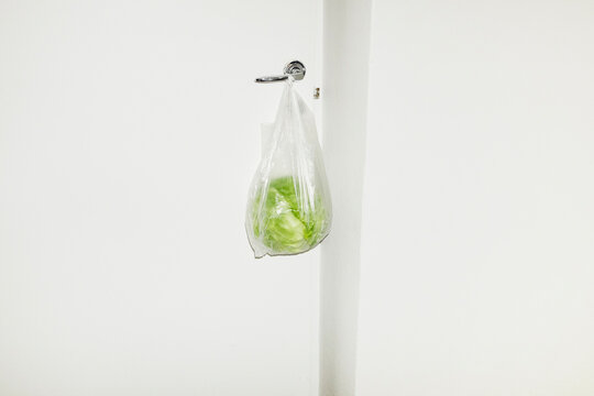 Green fresh cabbage salad vegetable in a clear plastic bag with flash