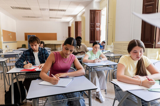 Diverse students concentrating on studies in school classroom