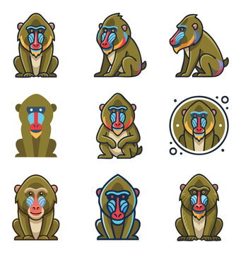 Colorful primate faces and poses flat design style
