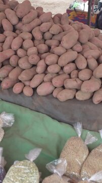 Fresh potatoes at a Chilean street market (feria libre), pile of potatoes at a local farmers market, potato stand, fresh produce market, outdoor food market, vegetables for sale, grocery shopping, 