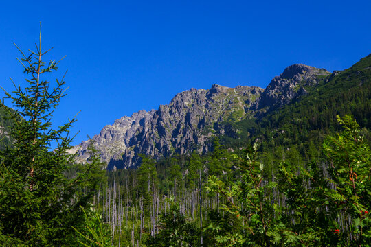 Scenes of Tatras 2026