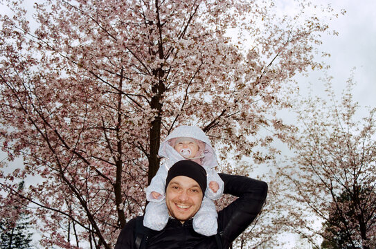 Father carries baby on shoulders during spring day