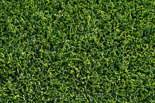 Artificial turf texture sports background