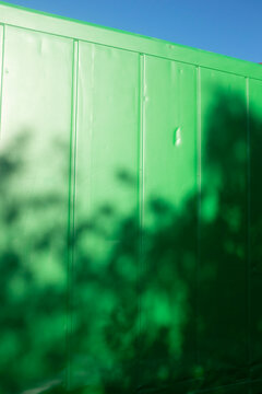 Green metal shipping container, sunlight and  shadow of tree
