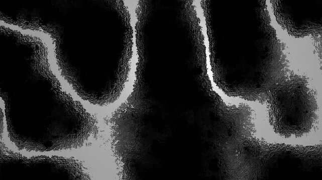 Abstract black and white liquid noise terrain motion. Monochromatic topography elevation map texture overlay. Dark metallic silver ripple surface visual element.