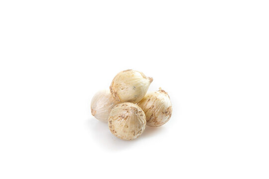 Fresh White Mushrooms with Dirt and Rootlets on White Background